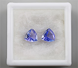 Пара танзанитов 1,46 карат 