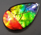 Аммолит аммонита 2,4 карат 