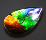 Аммолит аммонита 2,4 карат 