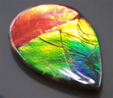 Аммолит аммонита 2,4 карат 