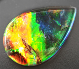 Аммолит аммонита 3,07 карат 