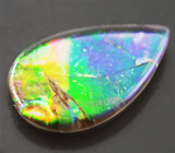 Аммолит аммонита 3,07 карат 