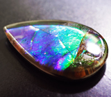 Аммолит аммонита 3,07 карат 