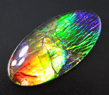 Аммолит аммонита 3,44 карат 