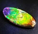 Аммолит аммонита 3,44 карат 