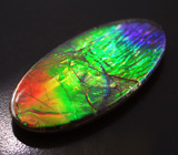 Аммолит аммонита 3,44 карат 