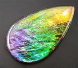 Аммолит аммонита 6,23 карат 