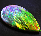 Аммолит аммонита 6,23 карат 