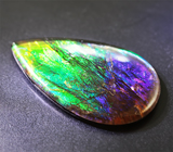 Аммолит аммонита 6,23 карат 