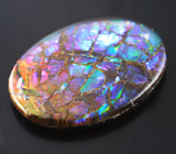 Аммолит аммонита 7,33 карат 