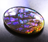 Аммолит аммонита 7,33 карат 