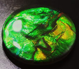 Аммолит аммонита 2,77 карат 