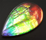 Аммолит аммонита 3,63 карат 