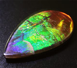 Аммолит аммонита 3,63 карат 