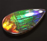 Аммолит аммонита 3,63 карат 