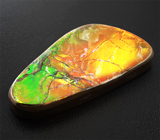 Топовое качество! Крупный аммолит 96,8 карат 