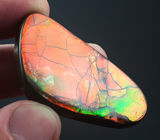 Топовое качество! Крупный аммолит 96,8 карат 