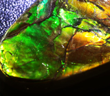 Топовое качество! Крупный аммолит 96,8 карат 