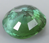 Полихромный турмалин 1,23 карат 