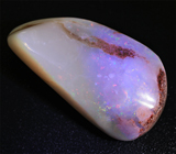 Крупный опализированный моллюск 38,76 карат 