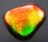 Кулон с аммолитом аммонита