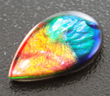 Аммолит аммонита 2,98 карат 