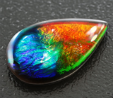 Аммолит аммонита 2,98 карат 