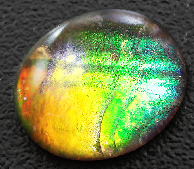 Аммолит аммонита 5,3 карат