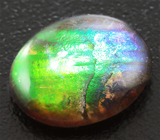 Аммолит аммонита 5,3 карат 