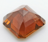 Actinolite (Актинолит) 0,93 карат Не указан