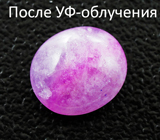 Hackmanite (Хакманит) 1,27 карат Не указан