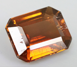 Actinolite (Актинолит) 1,25 карат Не указан