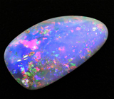 Australian Opal (Австралийский опал) дублет 7,63 карат Не указан