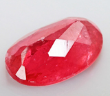 Rhodonite (Родонит) 1,99 карат Не указан