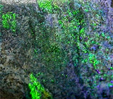 Крупный опал 10,45 карат 