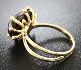 Золотое кольцо с кристаллическим черным опалом 4,44 карат Золото