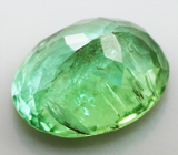 Paraiba tourmaline (Параиба турмалин) 1,33 карат Не указан