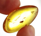 Бирманский янтарь с насекомым 13,34 карат 