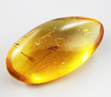 Бирманский янтарь с насекомым 13,34 карат 