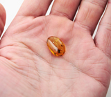 Доминиканский янтарь с насекомым 3,1 карат 