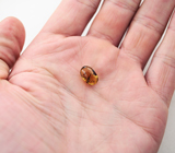 Очень редкий! Бирманский янтарь с насекомым 1,47 карат 