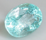 Paraiba tourmaline (Параиба турмалин) 0,52 карат Не указан