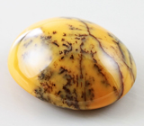 Dendrite Opal (Дендритический опал) 9,36 карат Не указан