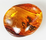 Бирманский янтарь с насекомым 2,28 карат 