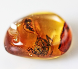 Бирманский янтарь с насекомым 2,28 карат 