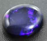 Australian solid black opal (Австралийский черный опал) 10,57 карат Не указан