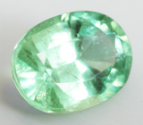Kyanite (Кианит) 0,96 карат Не указан