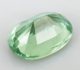 Kyanite (Кианит) 0,96 карат Не указан