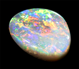 Australian solid semi-black opal (Австралийский опал) 1,67 карат Не указан