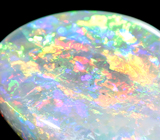 Australian solid semi-black opal (Австралийский опал) 1,67 карат Не указан